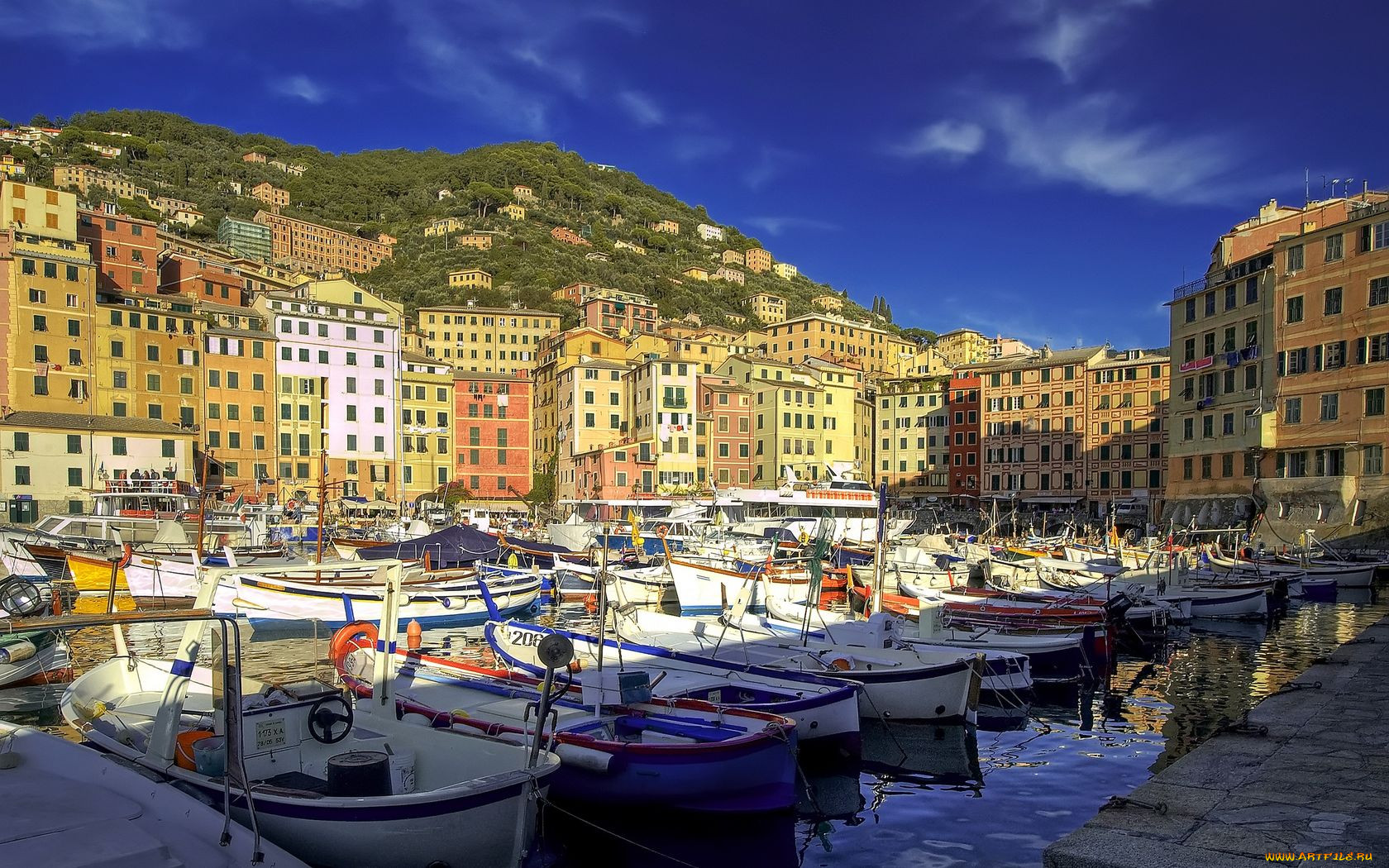 camogli, , , 